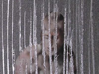 MODERN DECORATIVE HOME DECOR PAINTINGS PICTURES FRAMES